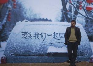 回家的路 2013,探寻回家的路——心灵之旅与情感共鸣