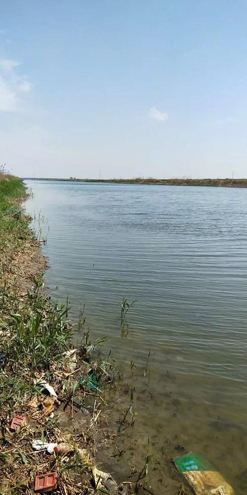 那条河,探寻黄河的千年文明与自然奇观