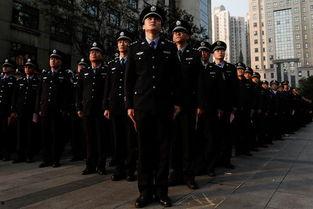 刑警与检察官，有时是法官,破解犯罪谜题的智慧联盟